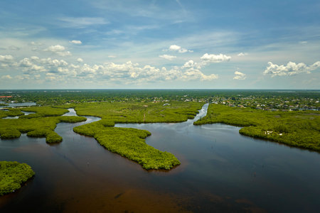 View from above of Florida everglades with green vegetation between water inlets. Natural habitat of many tropical species in wetlandsの写真素材