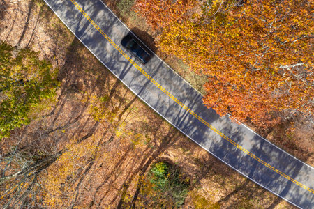 Road trip travel in Appalachian mountains. Car driving on parkway through woods nature in fall season. Colorful forest in autumnの写真素材