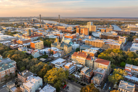 Aerial view of Savannah, old historical city in Georgia. Southern American architecture at nightの写真素材