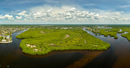 View from above of Florida everglades with green vegetation between ocean water inlets. Natural habitat of many tropical species in wetlandsの写真素材