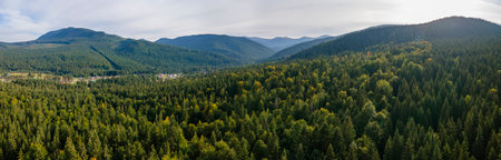 Aerial view of green pine forest with dark spruce trees covering mountain hills. Nothern woodland scenery from aboveの写真素材