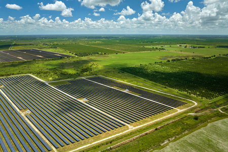 Aerial view of large sustainable electrical power plant with rows of solar photovoltaic panels for producing clean electric energy. Concept of renewable electricity with zero emissionの写真素材
