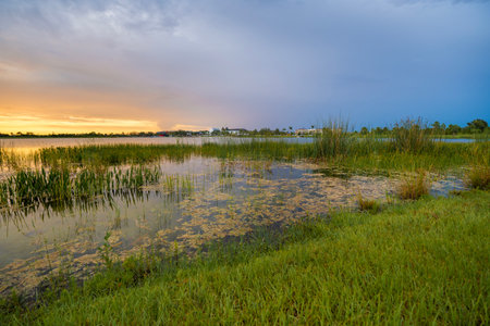 Florida lake nature at sunset. Recreational wildlife area in Wellen park in Veniceの写真素材