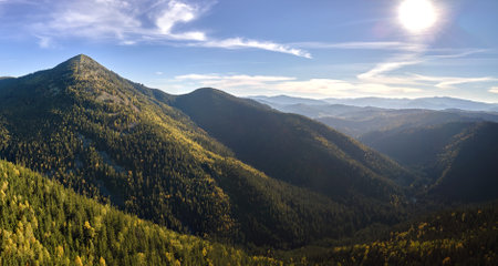 High hills with dark pine woods on autumn bright day. Amazing scenery of wild mountain woodlandの写真素材