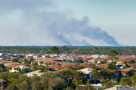 Smoke from prescribed forest fire rising up over suburban neighborhood in Floridaの写真素材