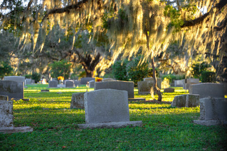 Graveyard burial place with many tombstones at sunset. Cemetery under southern oak trees on green grass in Orlando, Floridaの写真素材