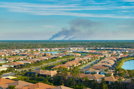 Prescribed fire smoke rising up over suburban neighborhood in Floridaの写真素材