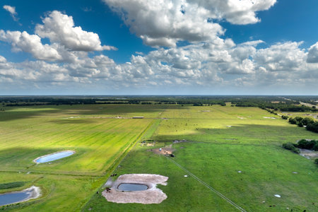 Water reservoirs for cows grazing on green farm pasture. Drinking ponds at free range farm. Feeding of cattle on farmland grasslandの写真素材