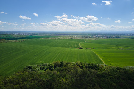 Aerial view of green farm fields in summer season with growing crops. Farming and agriculture industryの写真素材