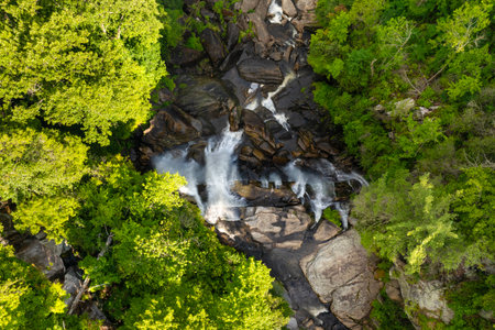 Beautiful landscape of high waterfall with falling down clear water from rocky boulders between green lush woods. Whitewater Falls in Nantahala National Forest, North Carolina, USAの写真素材