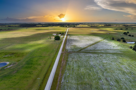 Green agricultural field with growing crops in summer season. Farming and agriculture industryの写真素材