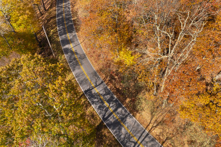Road trip travel in Appalachian mountains. Car driving on parkway through woods nature in fall season. Colorful forest in autumn Tennesseeの写真素材
