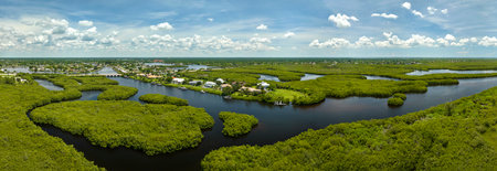 Aerial view of rural private houses in remote suburbs located near Florida wildlife wetlands with green vegetation on sea bay shore. Living close to nature conceptの写真素材