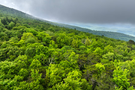 Great Smokey Mountains in summer rainy season. Mountain wooded hills in North Carolina Appalachians, USAの写真素材