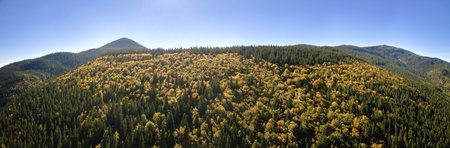 High hills with dark pine woods on autumn bright day. Amazing scenery of wild mountain woodlandの写真素材