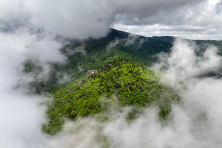 Mountain forest with green canopies in humid summertime season. North Carolina wild woods nature in summerの写真素材