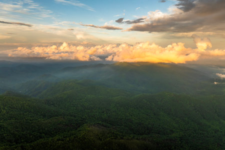 Nature landscape of Tennessee Appalachian mountains at sunrise. Mountain forest with green canopies in summer seasonの写真素材