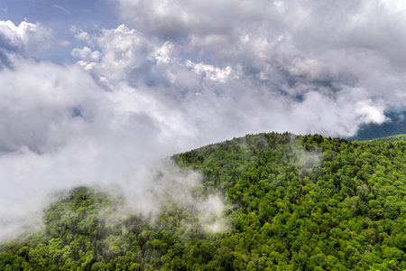 Nature landscape of Tennessee Appalachian mountains. Mountain forest with green canopies in summer rain seasonの写真素材