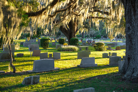 Old American cemetery with rows of tombstones under southern oak trees on green grass in Orlando, Floridaの写真素材