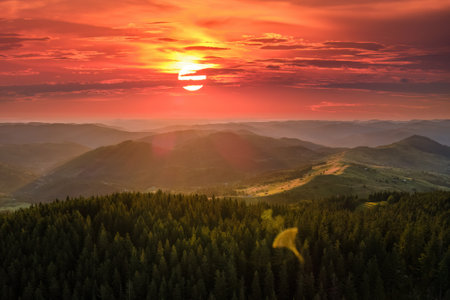 Beautiful landscape. Dramatic sunset over highland terrain. Dark pine forest illuminated with bright setting sun. Colorful nature of wild mountainsの写真素材