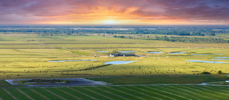 Green farmland landscape in summer season with growing crops. Agricultural cultivated field. Farming and agricultureの写真素材