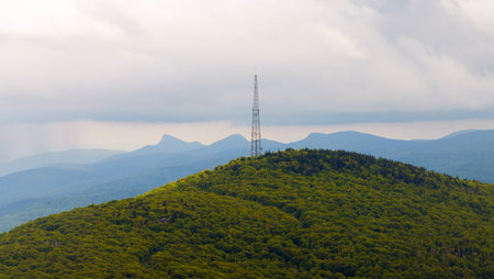 Summer woods of Appalachian mountains with green canopies in colorful forest. Wild nature in...