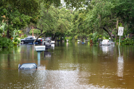 Hurricane Debby flooded street in Florida residential area. Aftermath of natural disaster caused by...