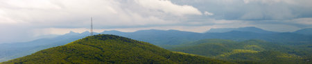 Mountain forest with green canopies in summertime season. North Carolina wild woods nature in summerの写真素材