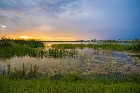 Lake sunset in Wellen park in North Port, Floridaの写真素材