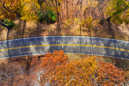 Blue Ridge Parkway road in autumn woods of Appalachian mountains at sunset with yellow and orange canopies in colorful forest. Road trip driving in wild nature in fall seasonの写真素材