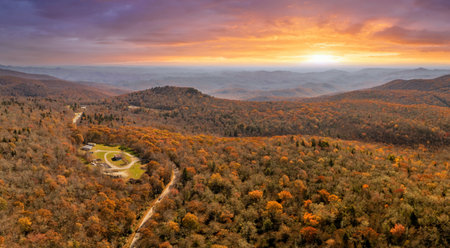 Colorful mountain forest with canopies in autumn at sunset. Landscape of wild woods nature in fall seasonの写真素材
