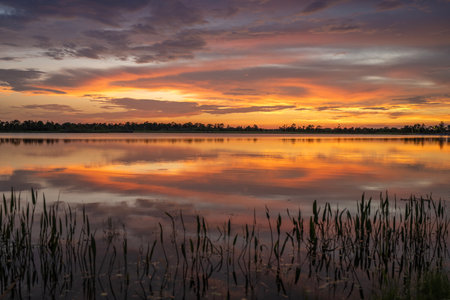 Florida evening nature. Wetland lake at sunsetの写真素材