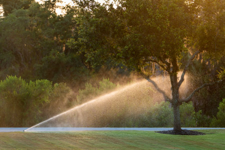 Irrigation lawn sprinkler spreading water over backyard grass in dry season to keep it green and freshの写真素材