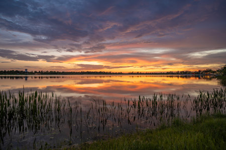 Beautiful nature landscape at sunset. Lake wildlife in Floridaの写真素材