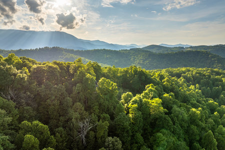 Bright sunset in Smokey Mountains summer woods. Mount Mitchell peak in Appalachian mountains in North Carolina with fresh green forest trees in summertime season. Beauty of USA natureの写真素材