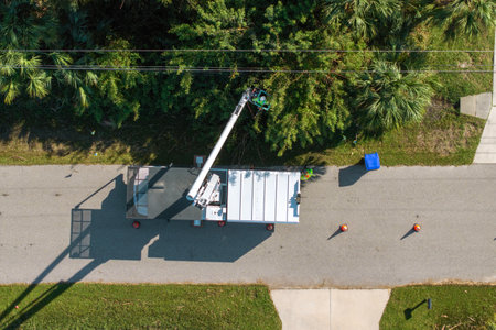 Electricity outage prevention. Electrician worker trimming tree around power linesの写真素材