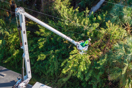 Technician worker cutting tree branches from the electrical power cable area to reduce power outagesの写真素材