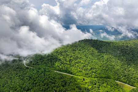 Blue Ridge Parkway road in summer woods of Appalachian mountains with green canopies in colorful forest. Road trip driving in wild nature in summertime rainy seasonの写真素材