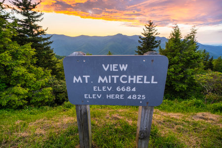 Road trip travel in Appalachian mountains at sunset. Mt. Mitchell Overlook on parkway and woods nature in summer season. Colorful forest in North Carolinaの写真素材