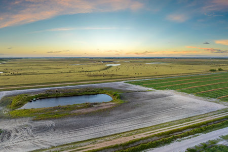 Water reservoirs for cows grazing on green farm pasture. Drinking ponds at free range farm. Feeding of cattle on farmland grasslandの写真素材