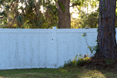 White vinyl picket fence on green lawn surrounding property grounds for backyard protection and privacyの写真素材