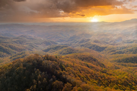 Wooded Appalachian mountains in North Carolina at sunset with yellow forest trees at fall season. Beauty of autumnal natureの写真素材