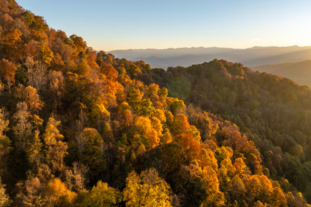 Wooded sunset hills of Appalachian mountains in North Carolina with lush and evergreen forest trees at fall season. Beauty of autumnal natureの写真素材