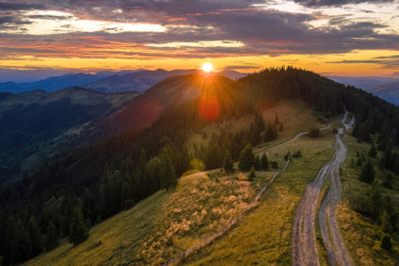 Mountain landscape of trekking route. Dark dirt road between spruce woods illuminated with yellow setting sun. Bright colorful sunset in wild national park highlandsの写真素材
