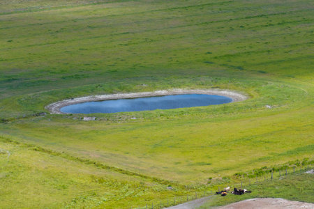 Water ponds for farm cattle. Drink source for cows grazing in pasture fields. Green industrial farm grasslandの写真素材