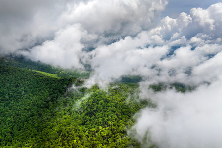 Smokey mountains summer woods. Appalachian mountains in North Carolina with fresh green forest trees...