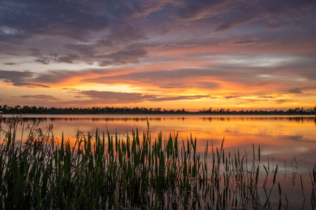 Florida lake nature at sunset. Recreational wildlife area in Wellen park in Veniceの写真素材