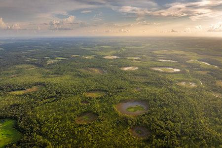 Florida wetlands with water between green wild vegetation. Tropical ecosystem at sunsetの写真素材