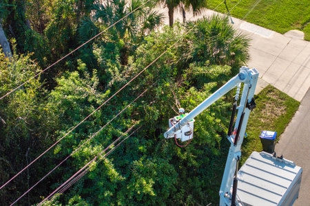 Aerial view of electrician utility worker trimming tree branches around power lines in Florida...