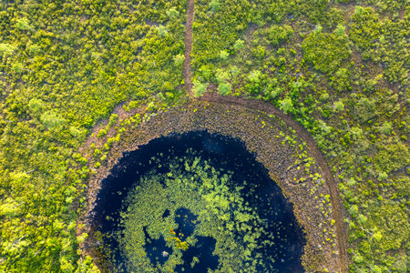 Beautiful nature landscape. Forest lake wildlife in Florida